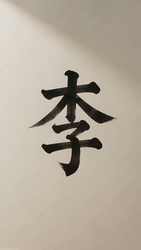 The character 李 as it appears at the end of its animation